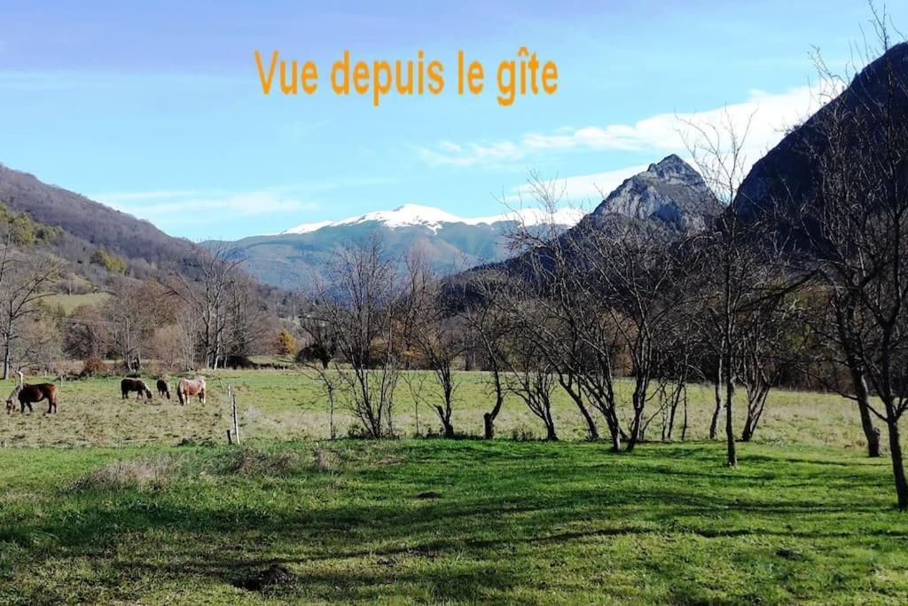 Willa Grange En Pierres. Grand Jardin Et Belle Vue Saurat Zewnętrze zdjęcie