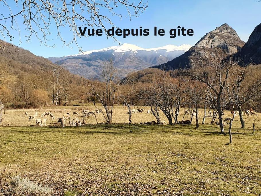 Willa Grange En Pierres. Grand Jardin Et Belle Vue Saurat Zewnętrze zdjęcie